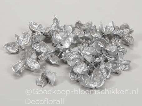 [A-016179] Cottonpod Katoenpods Zilver 250 gram