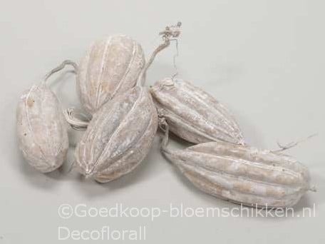 [A-016215] Jhinga fruit Zaaddozen White Wash 10 st 