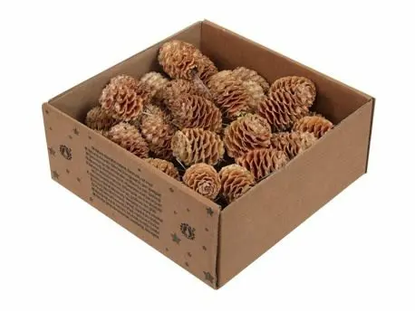 [A-016218] Sabulosum Naturel op draad doos ca. 50 stuks