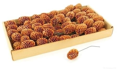 [A-016218] Sabulosum Naturel op draad doos ca. 80 stuks