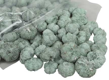 [A-017080] Beachfruit Paras Peepal mini pompoentjes Groen Wash ca. 500 gram