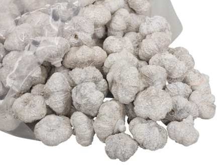 [A-017081] Beachfruit Paras Peepal mini pompoentjes White Wash ca. 500 gram