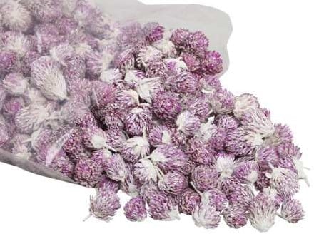 [A-017087] Losse Bloemhoofdjes Purple Daisy White Wash strooibloemetjes