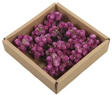 [A-017088] Daisy Possy op draad Naturel Purple doos 50 stuks