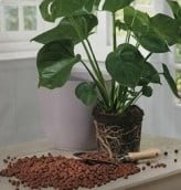 [A-017640] Hydrokorrels ca. 1250 gr