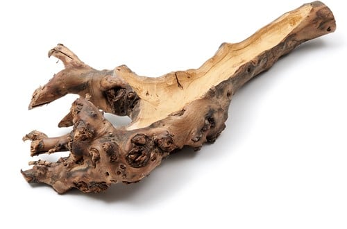 [A-018840] Mulberry wortelstronk hollow Naturel 40-50 cm