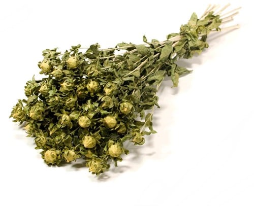 [A-019161] Bidens Carthamus Groen natural