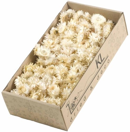 [A-019513] Helichrysum Strobloemhoofdjes Wit 100 g SB
