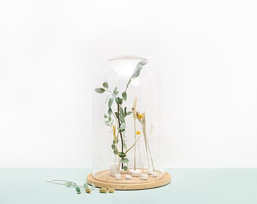 [A-019931] Droogbloemenmix + Euc Creeer Droogbloempakketje excl Accessoires