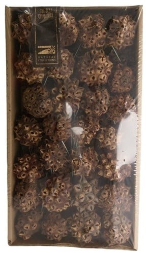 [A-020050] Spidergum Knobs o/w Natural 55 stuks