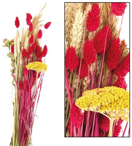 [A-021056] Droogbloemboeket Dried flower bouquet Multi