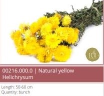 [A-021090] Helichrysum Yellow Geel droogbloemen bundel SB