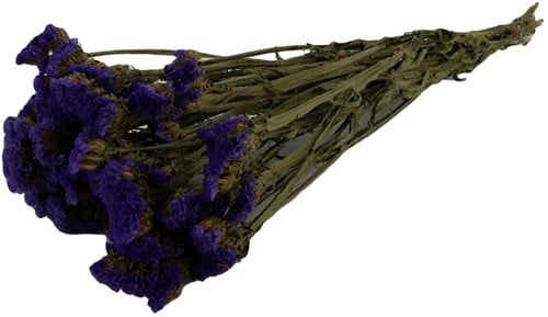 [A-021099] Statice Sinuata Lamsoor droogbloemen Natural Blue in hoes ca. 70 cm