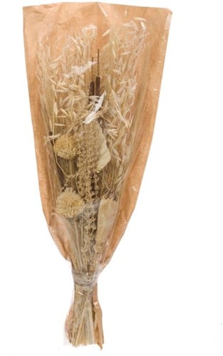 [A-022012] Droogbloemenboeket Bouquet fox ball Mehogany Bleached White