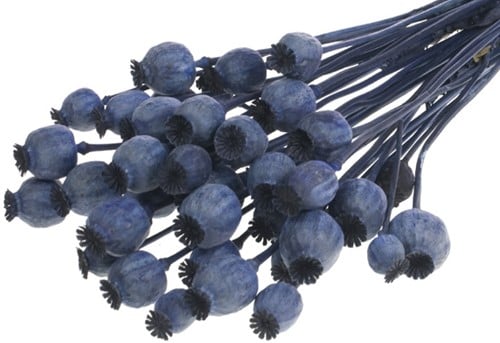 [A-022016] Papaverbollen Dark Blue