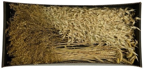 [A-022042] Droogbloempakket Dried flowers mix tray Naturel 
