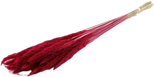 [A-022112] Fluffy Pampas Cerise 70gr 75-80cm