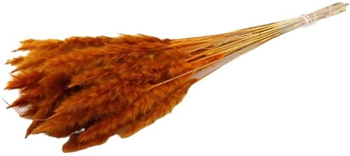 [A-022115] Fluffy Pampas Oranje 70gr 75-80cm