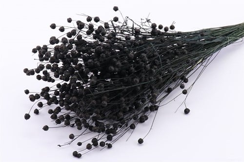 [A-022132] Vlas Flax grass Zwart droogbloemen per bundel