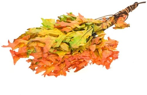 [A-022164] Herfstblad Eikenblad Scarlet leaf preserved Autumn Leaves – gepreserveerd, onmisbaar in droogboeketten