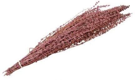 [A-022185] Palak stick Zurigachtige bolletjes droogbloemen Pink 65–75 cm 100 gram