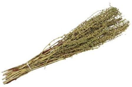 [A-022186] Palak stick Zurigachtige bolletjes droogbloemen Groen 65–75 cm 100 gram
