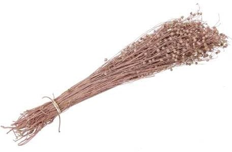 [A-022190] Lino Grass Vlas Linum Droogbloem Bundel Orange 100 gram