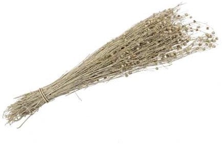 [A-022191] Lino Grass Vlas Linum Droogbloem Bundel Yellow Geel 100 gram