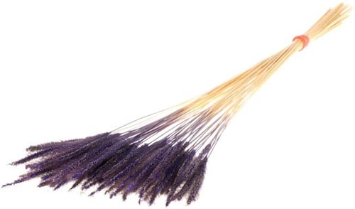 [A-022304] Soft Worms Grass alternatief voor Lagurus Purple