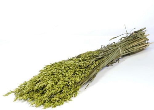 [A-022454] Haver Bundel Groen Avena Groen Wash