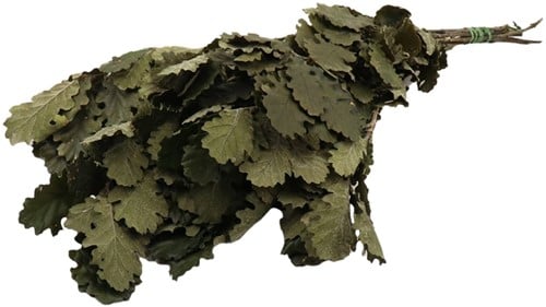 [A-022511] Geprepareerd Gepreserveerd Eikenblad miniblaadjes 80 cm Groen