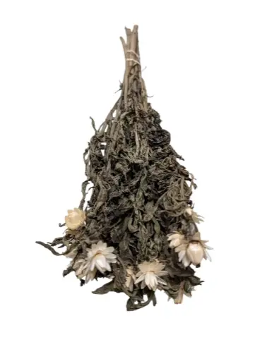 [A-022796] Helichrysum droogbloemen Wit 20 bundels Restant 