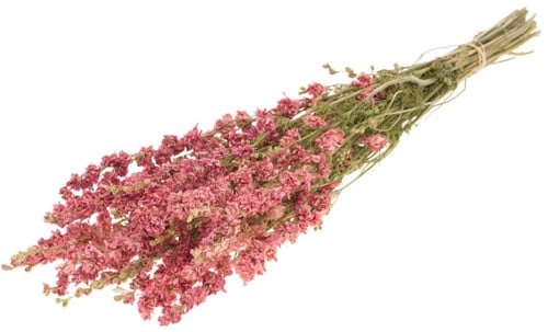 [A-022932] Delphinium droogbloem Rose Pink Naturel