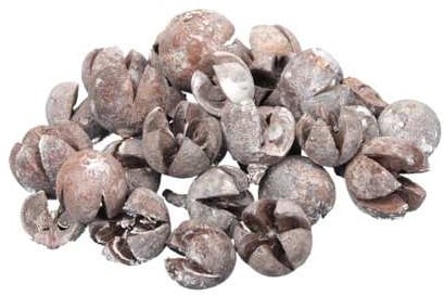 [A-023266] Chillery Eucalyptus Bell White wash ca. 500 gram