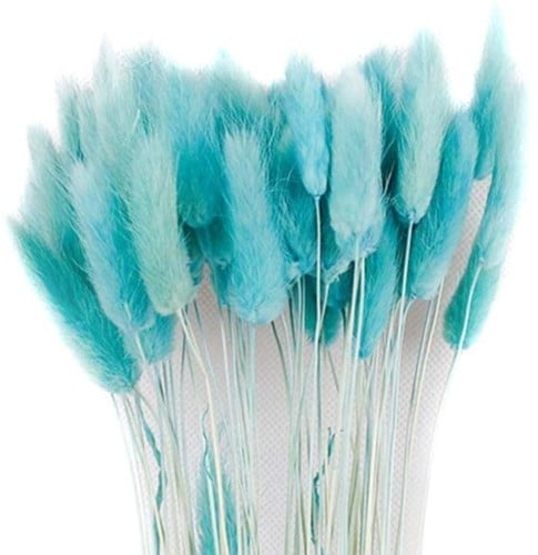[A-023999] Lagurus Ovatus Pluimgras Graspluimen in hoes Gepreserveerd Lichtblauw 50 gram