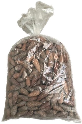 [A-024411] Dennenappel Dicht Pinecone closed Bulk 10 kg