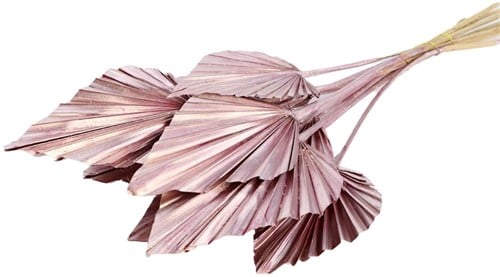 [A-024468] Palm Spear Palm Sun Metalic Pink Roze 10 stuks
