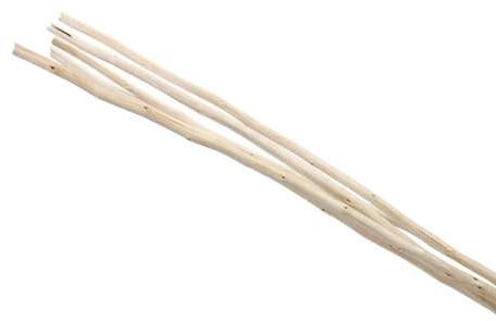 [A-024793] Palm Curly Ting Ting Gedraaid Goud 60-70 cm 150 gram