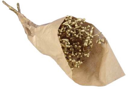 [A-024797] Eucalyptusfruit op Tak Goud 55cm