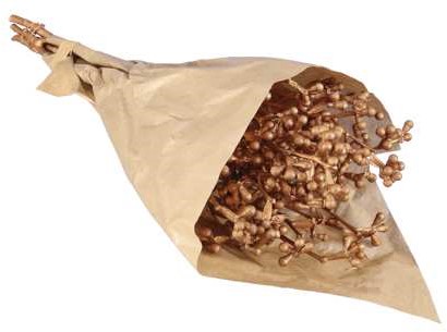 [A-024798] Eucalyptusfruit op Tak Koper 55cm