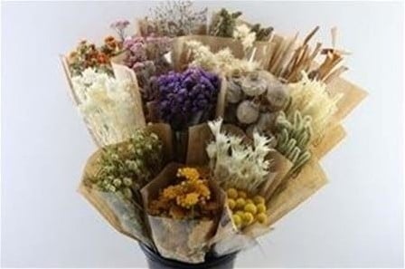 [A-024857] Droogbloemenmix Startersbox 15 verschillende Wisselende Samenstelling