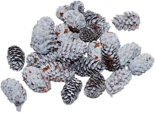 [A-024937] Pinecone Mini Spruce Dennenappeltjes White 180 gram