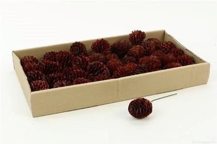 [A-025149] Gladrum op draad Naturel 50 stuks in doos