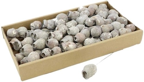 [A-025150] Eucalyptus bells op draad doos Bell Gums White wash