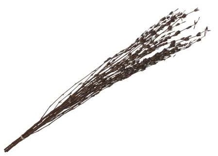 [A-027369] Knottgrass Naturel 90–100 cm bundel 100 gram