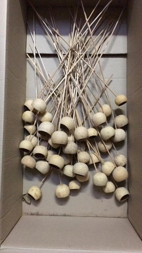 [A-027392] Bell cup Gebleekt op stok 10 stuks