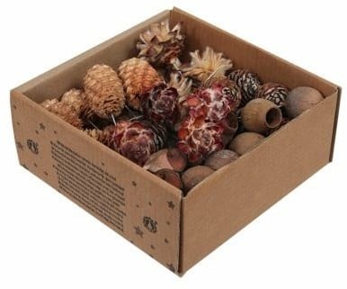 [A-027592] Leucadendron Assortiment op draad Naturel 50 stuks