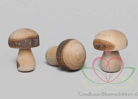 [A-011393] Houten Paddenstoelen 3×3,5 cm doosje