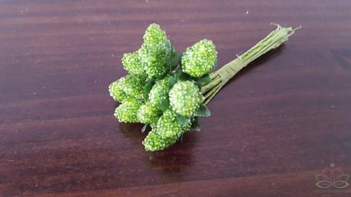 [A-011923] Kunstframbozen Groen doosje