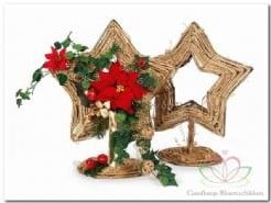 [A-006488] Stervorm Frame Standaard 37 cm hoog